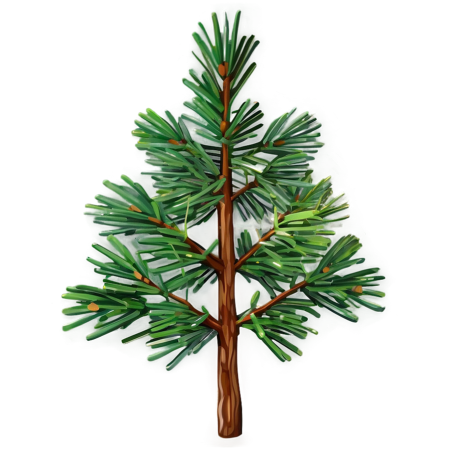 Realistic Pine Branch Png Duj23 PNG