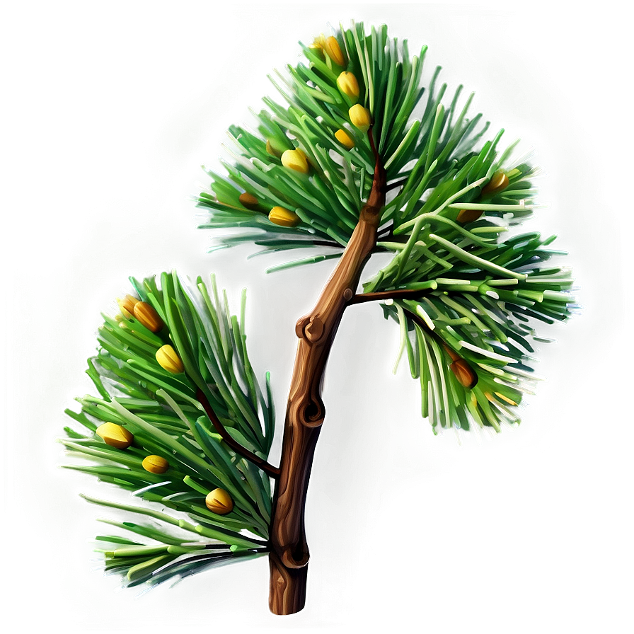 Realistic Pine Branch Png Mfq PNG