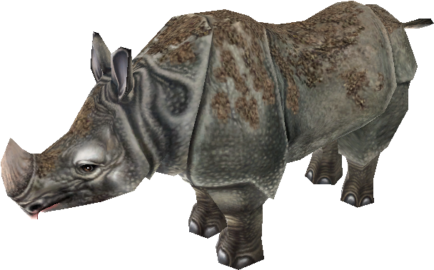 Realistic Rhinoceros Model PNG