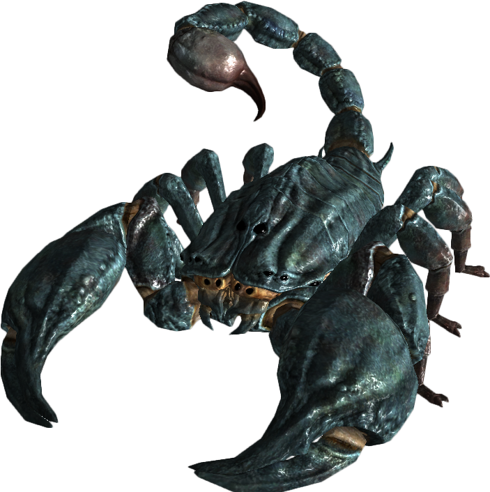 Realistic Scorpion Model PNG
