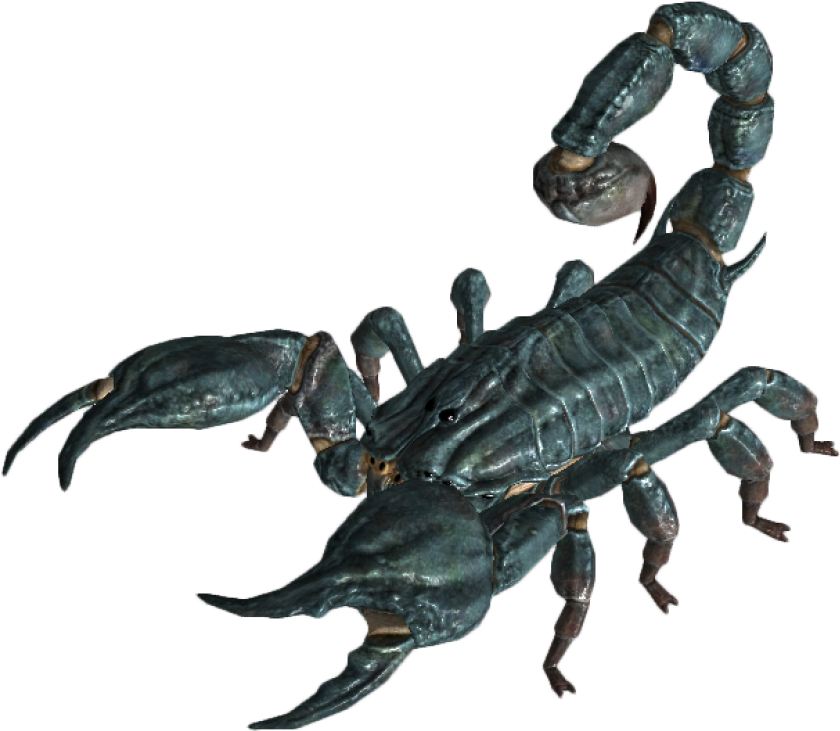 Realistic Scorpion Model PNG