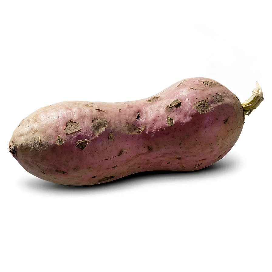 Realistic Sweet Potato Png Dmb PNG