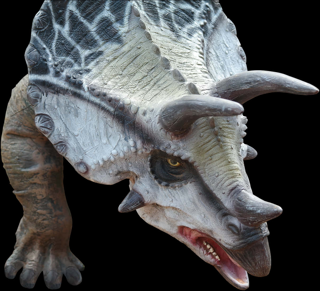 Realistic Triceratops Model PNG