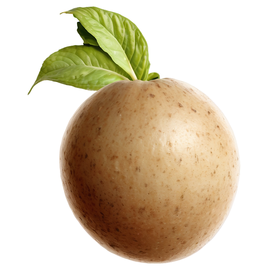 Realistic Tuber Image Png 05252024 PNG