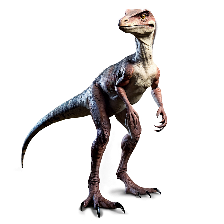 Realistic Velociraptor Design Png 06202024 PNG