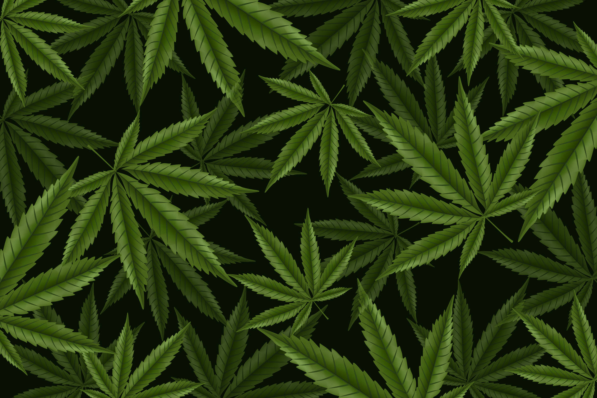 Realistischegrafiken Von Cannabisblättern Wallpaper