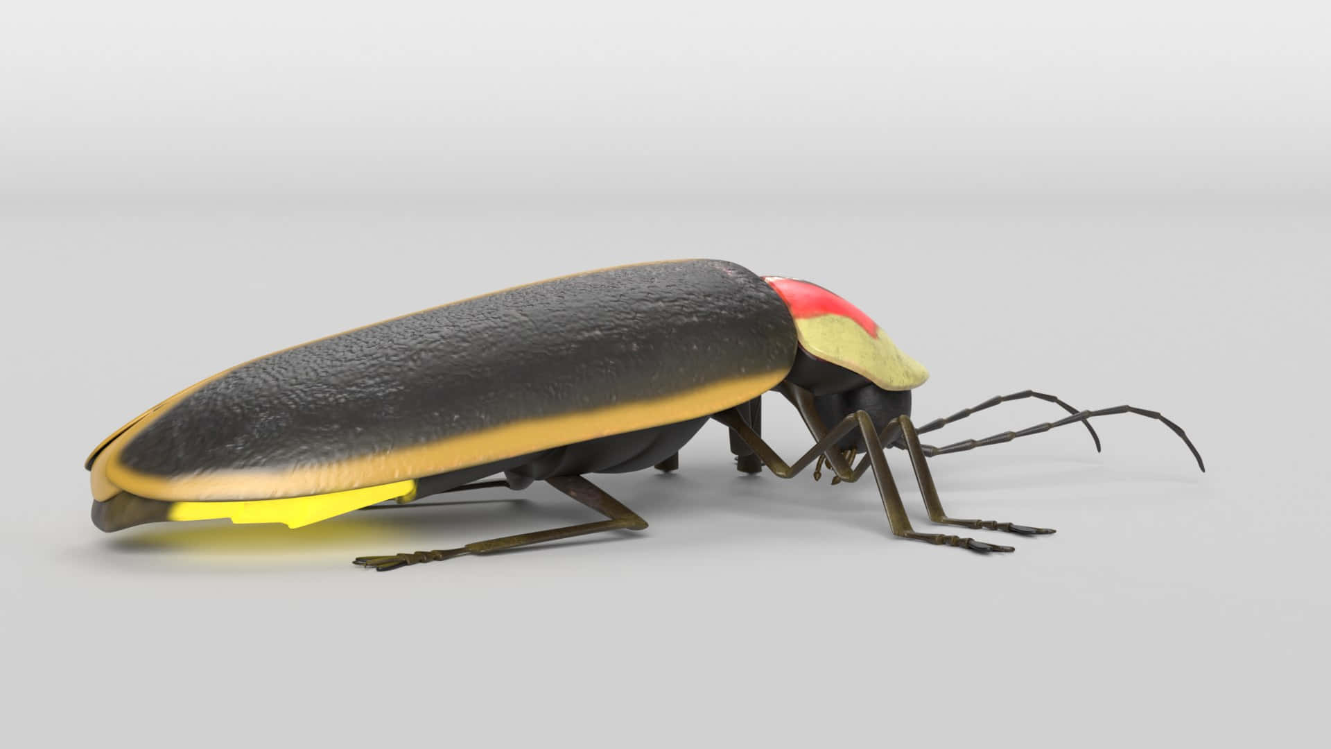 Realistic3 D Modelof Lightning Bug Wallpaper