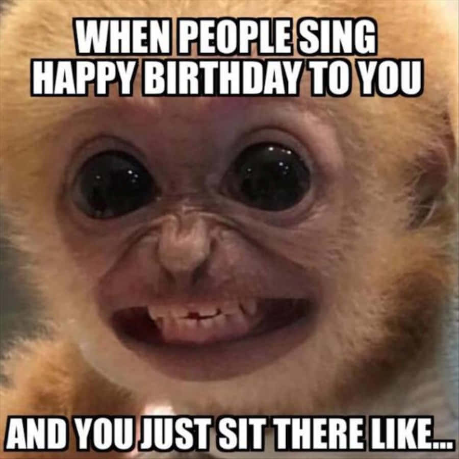 Really Funny Monkey Face Meme Picture