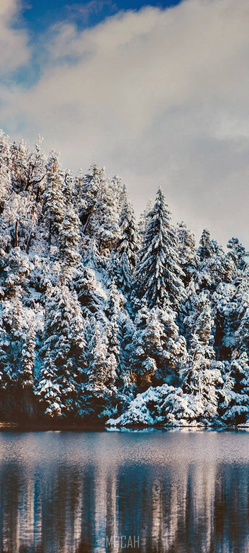 Realme 7 Pro Snowy Forest Wallpaper