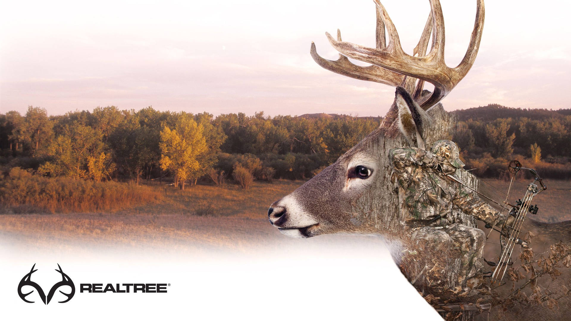 Realtree Camo White-tailed Deer Wallpaper