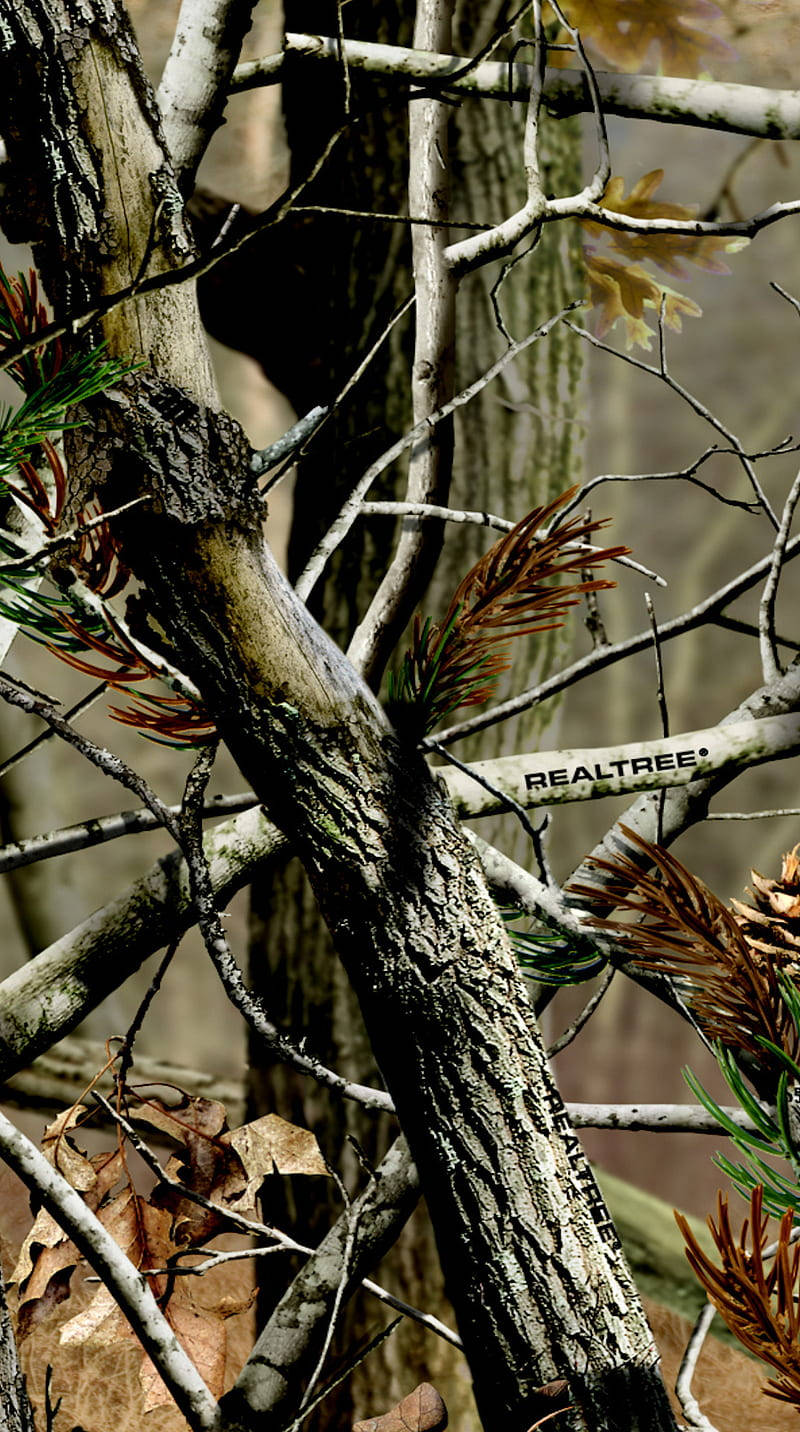 Realtree Trunk Branches Wallpaper