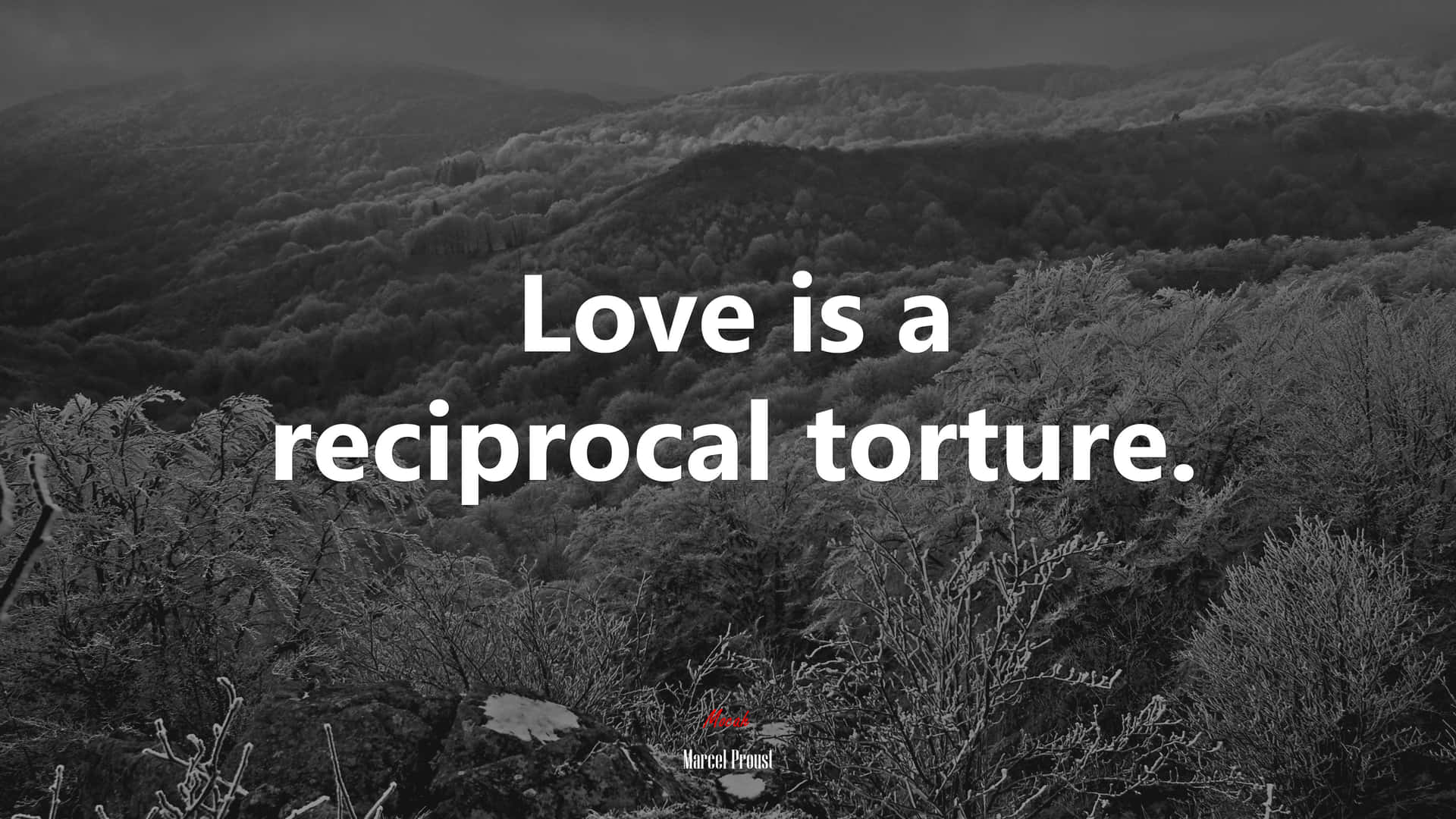 Reciprocal Torture Love Quote Wallpaper