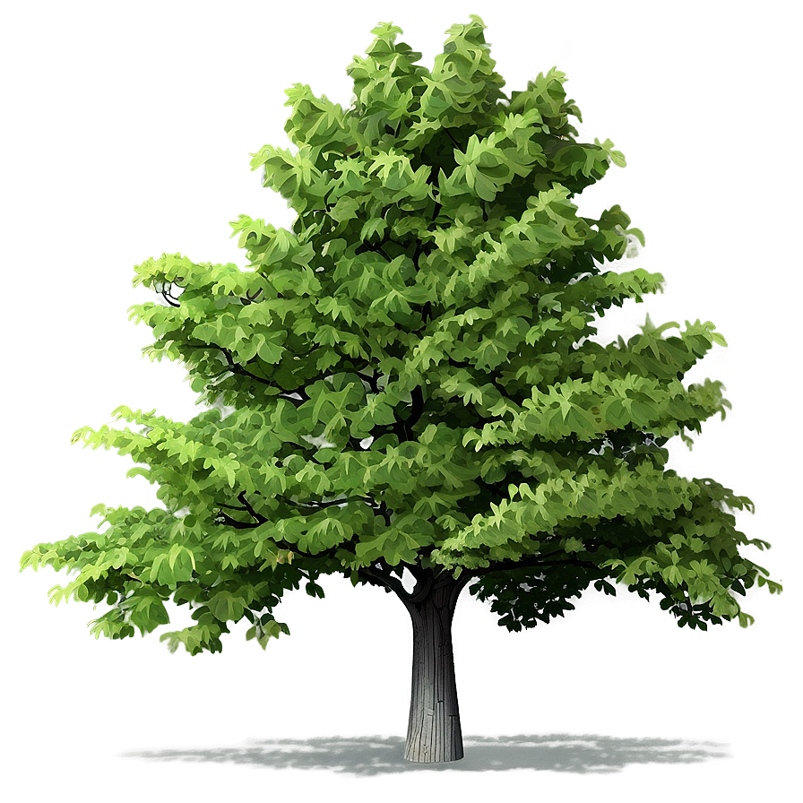 Recreational Area Trees Png Ovq29 PNG