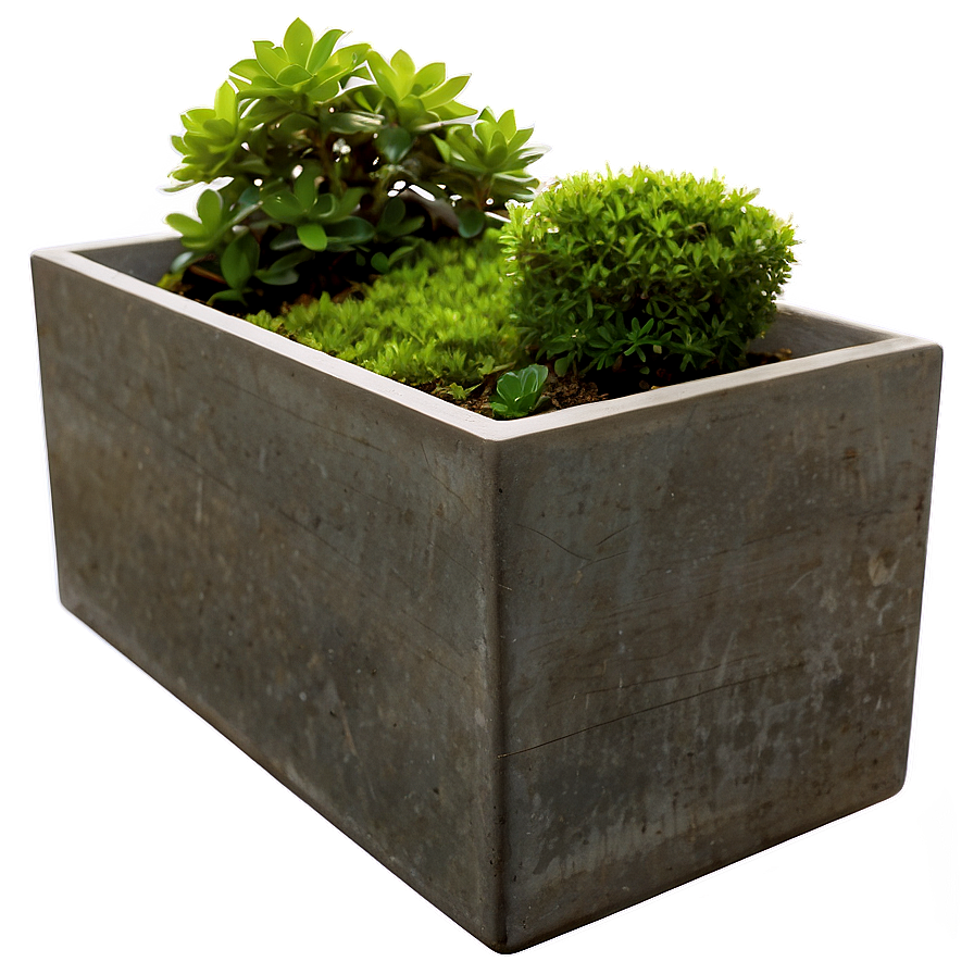 Rectangular Planter Png Tjv PNG