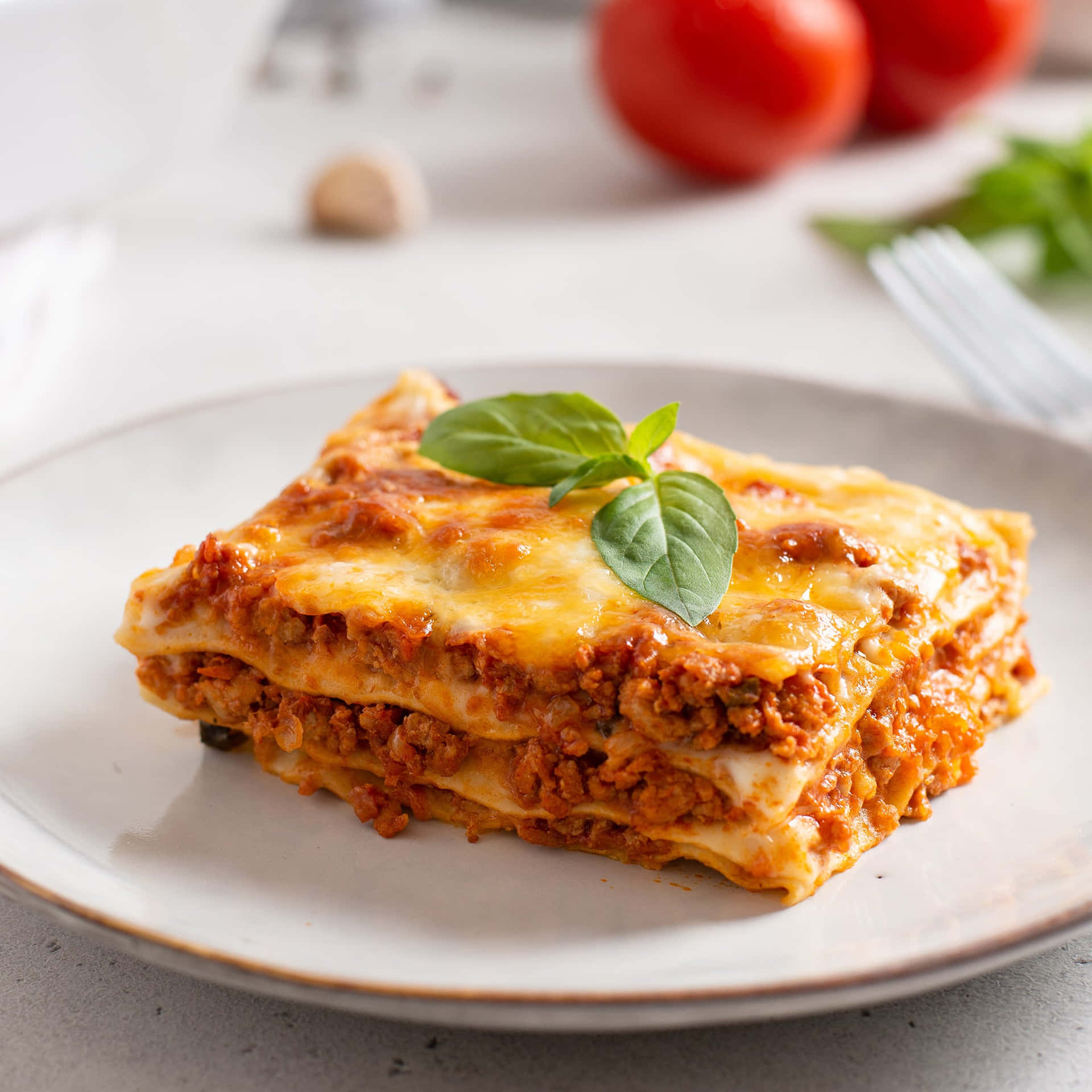 Rectangular Slice Of Lasagna Alla Bolognese Picture