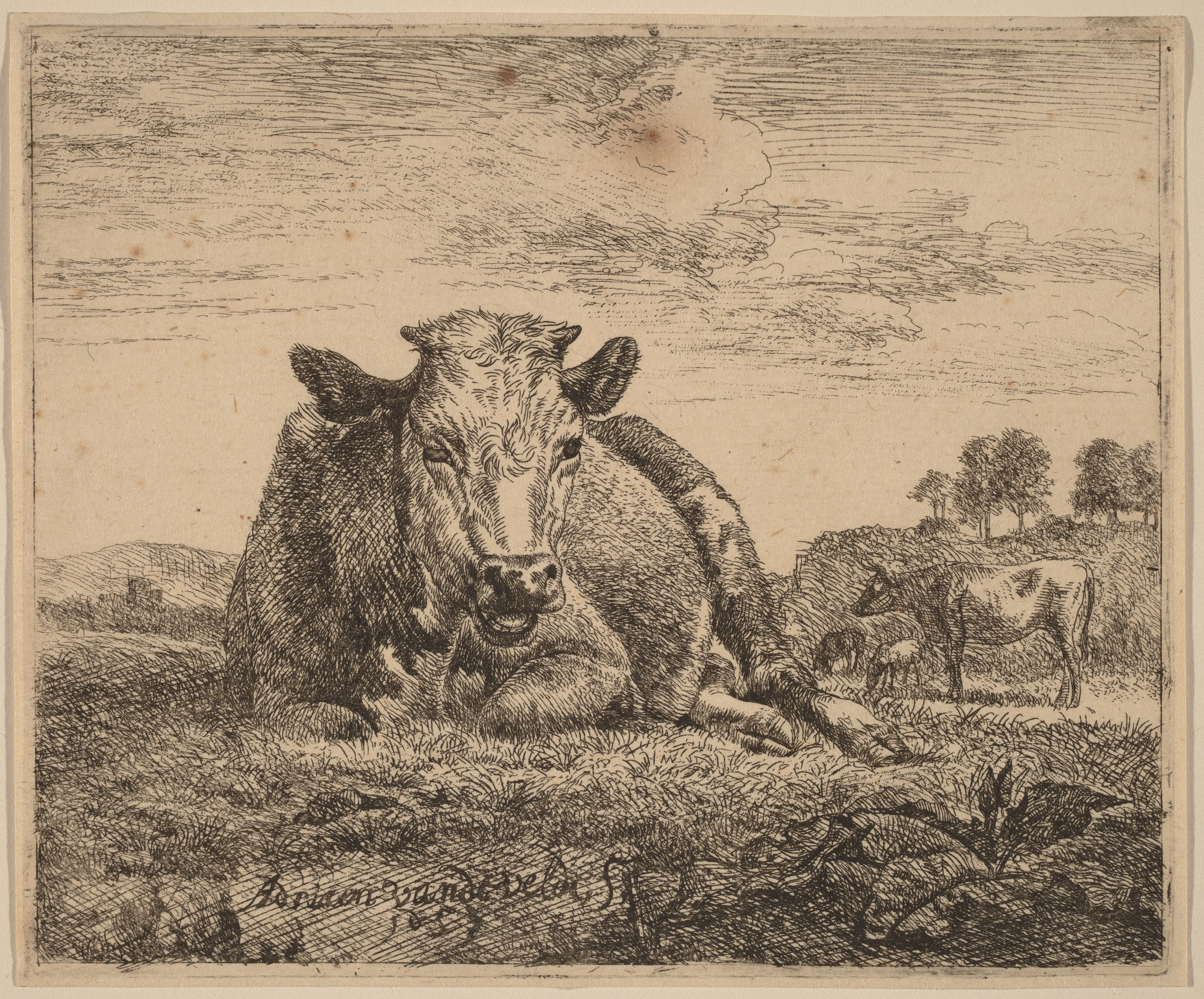 Recumbent Cow Wallpaper