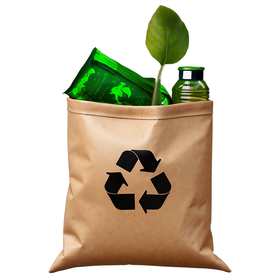 Recycle Bag Icon Png 06252024 PNG