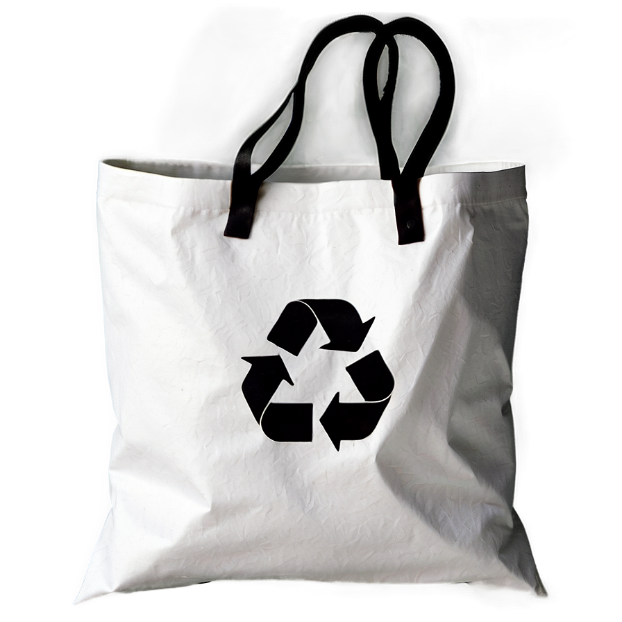 Recycle Bag Icon Png 06252024 PNG