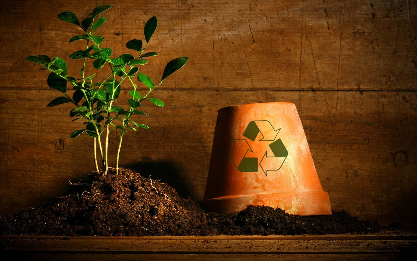 Recycling Pot Picture