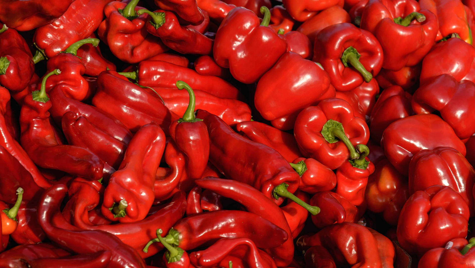 Red 4k Uhd Bell Peppers Picture