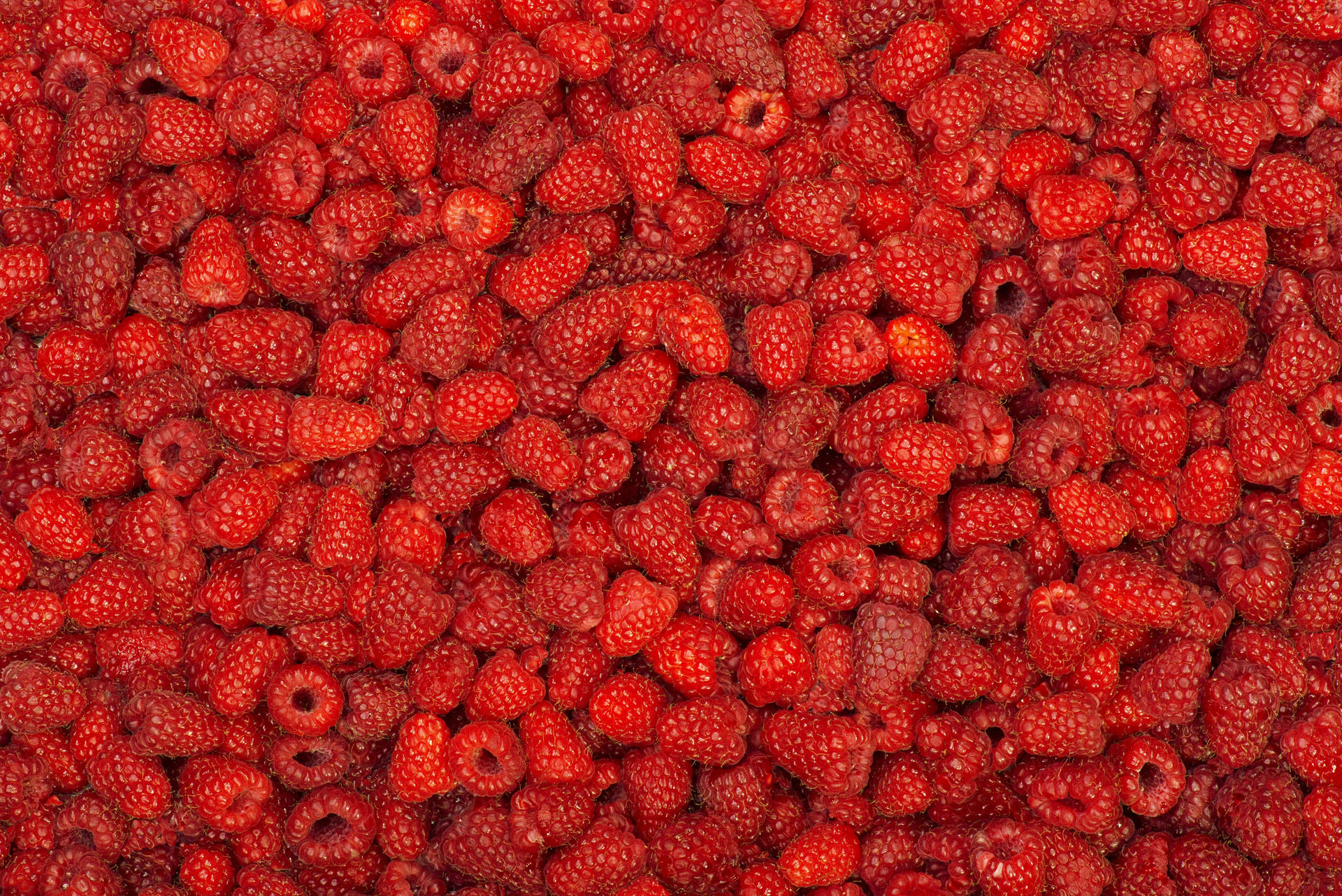 Red 4k Uhd Raspberries Fruit Picture