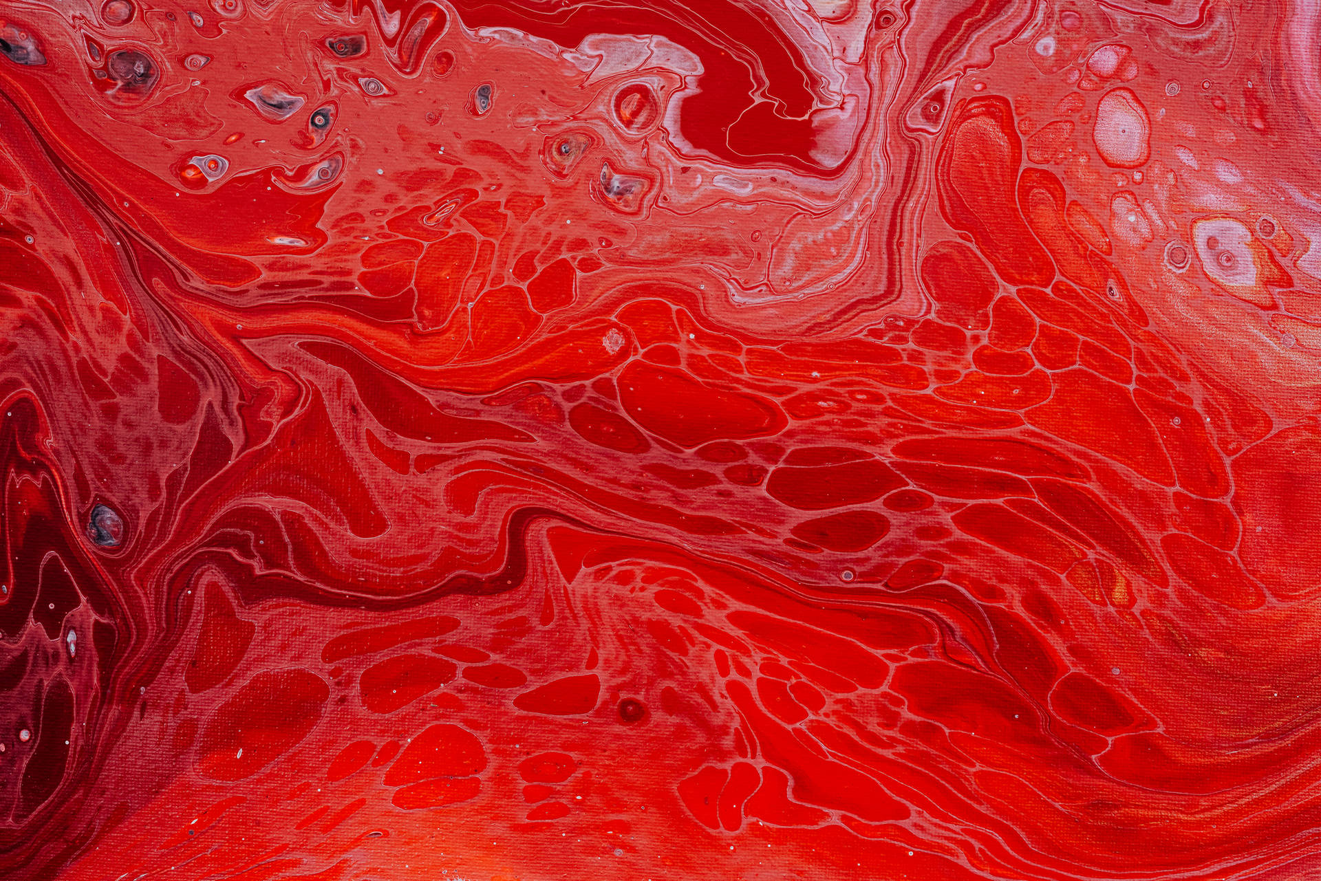 Red Abstract Fluid Painting Wallpaper