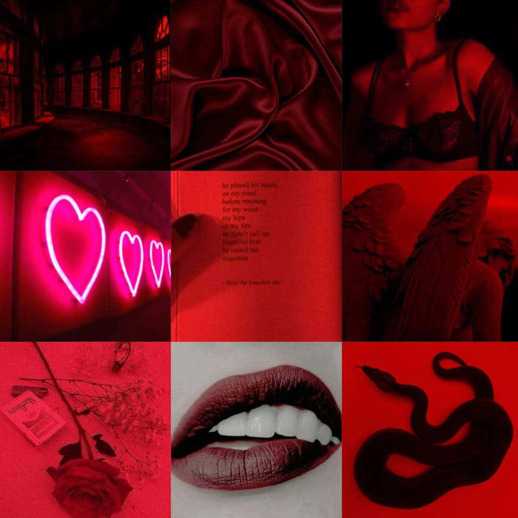 Red Aesthetic Collage Wallpaper