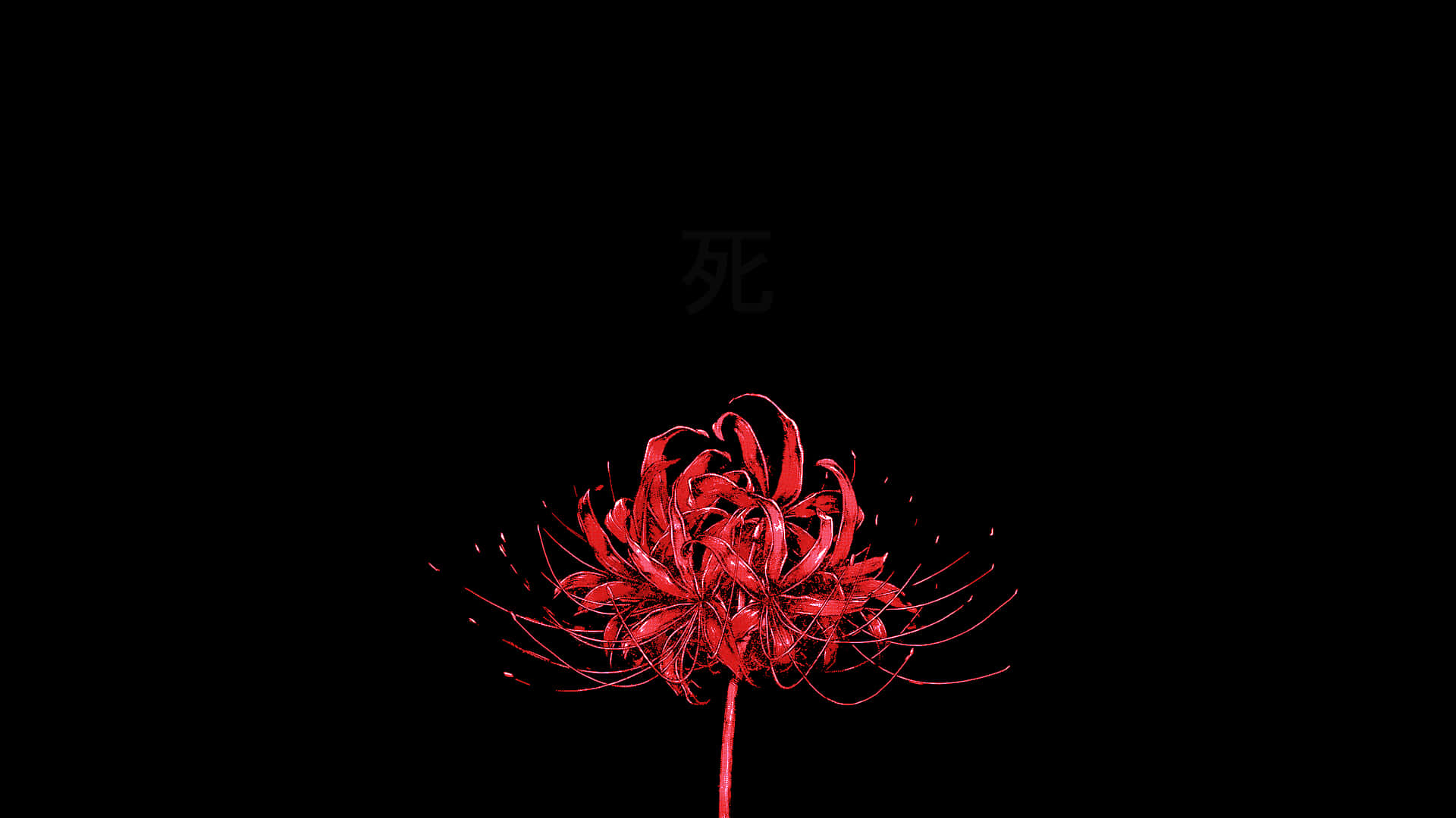 Rödaestetiska Blommor På Din Laptop-skärm. Wallpaper