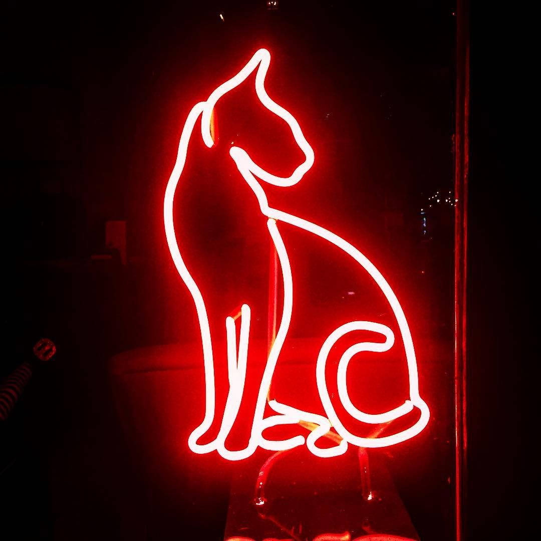 Red Aesthetic Neon Cat Light Wallpaper