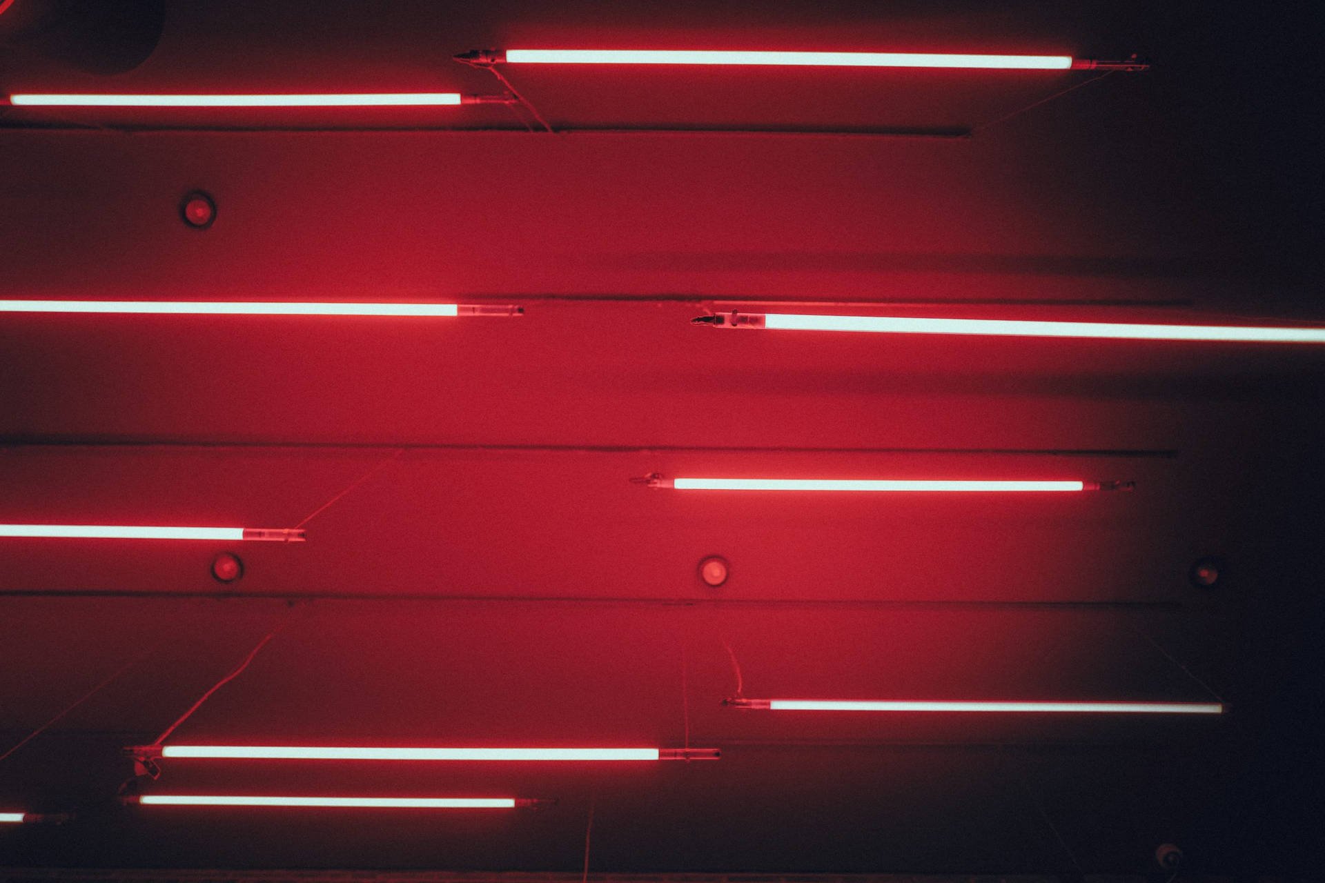 Røde Æstetiske Neonlyslinjer Wallpaper