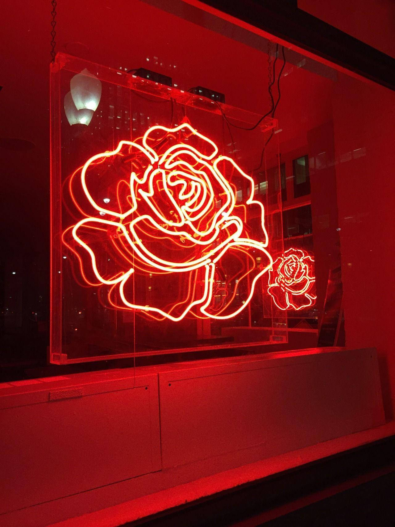 Red Aesthetic Neon Rose Display Wallpaper