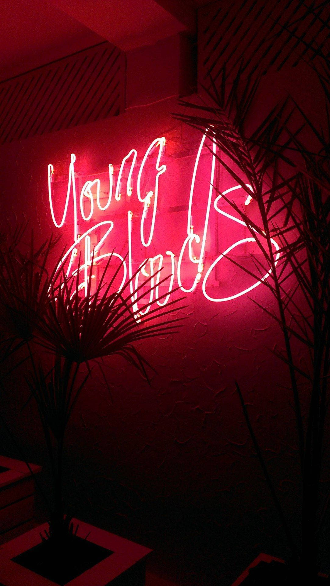 Red Aesthetic Neon Young Blood Wallpaper