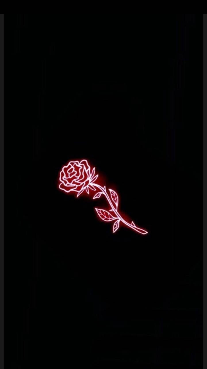 Red And Black Aesthetic Neon Rose Wallpaper