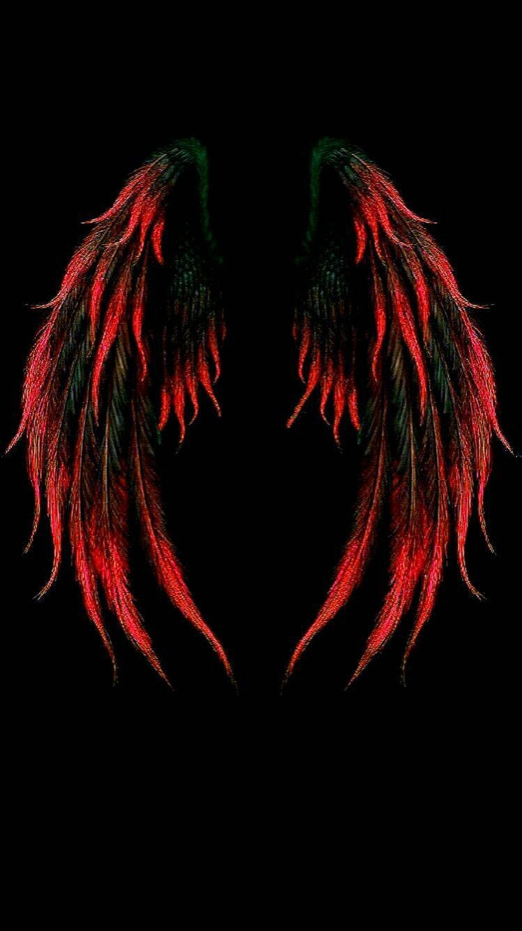 Red And Black Angel Wings Wallpaper