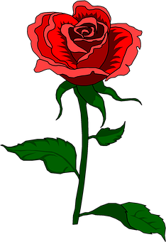 Red And Black Rose Illustration PNG