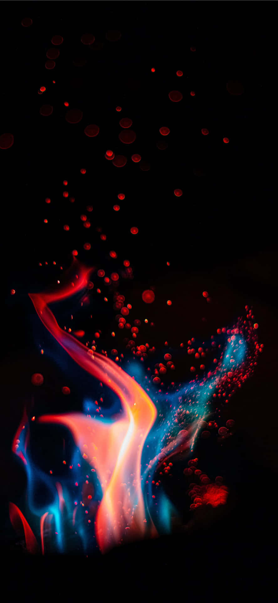 A beautiful mix of red and blue fire Wallpaper