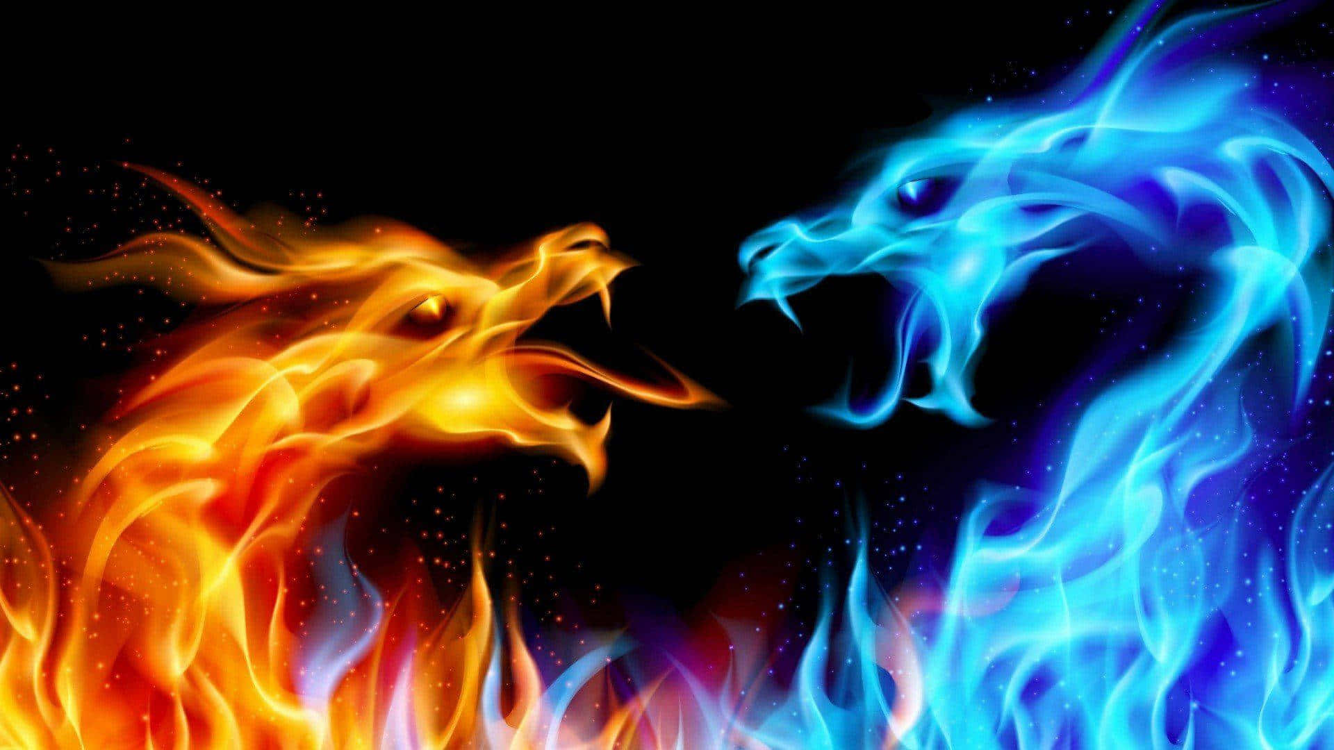 Two Dragons Fighting In The Fire Wallpaper