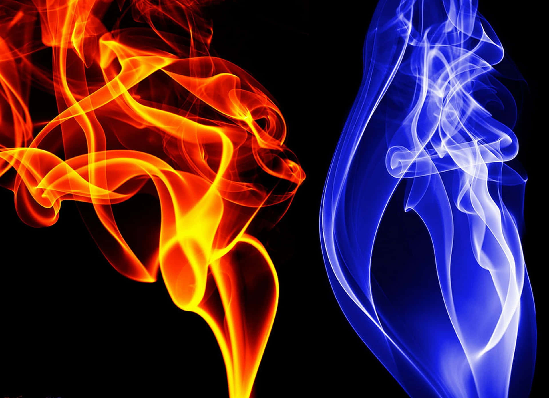 Red and Blue Fire Intensity Wallpaper