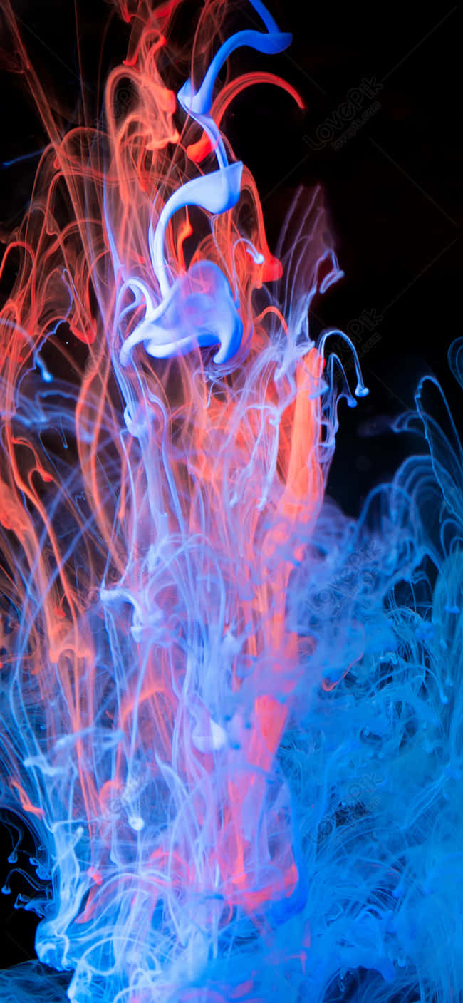 Blue and Red flames mix together to create a beautiful fiery display Wallpaper