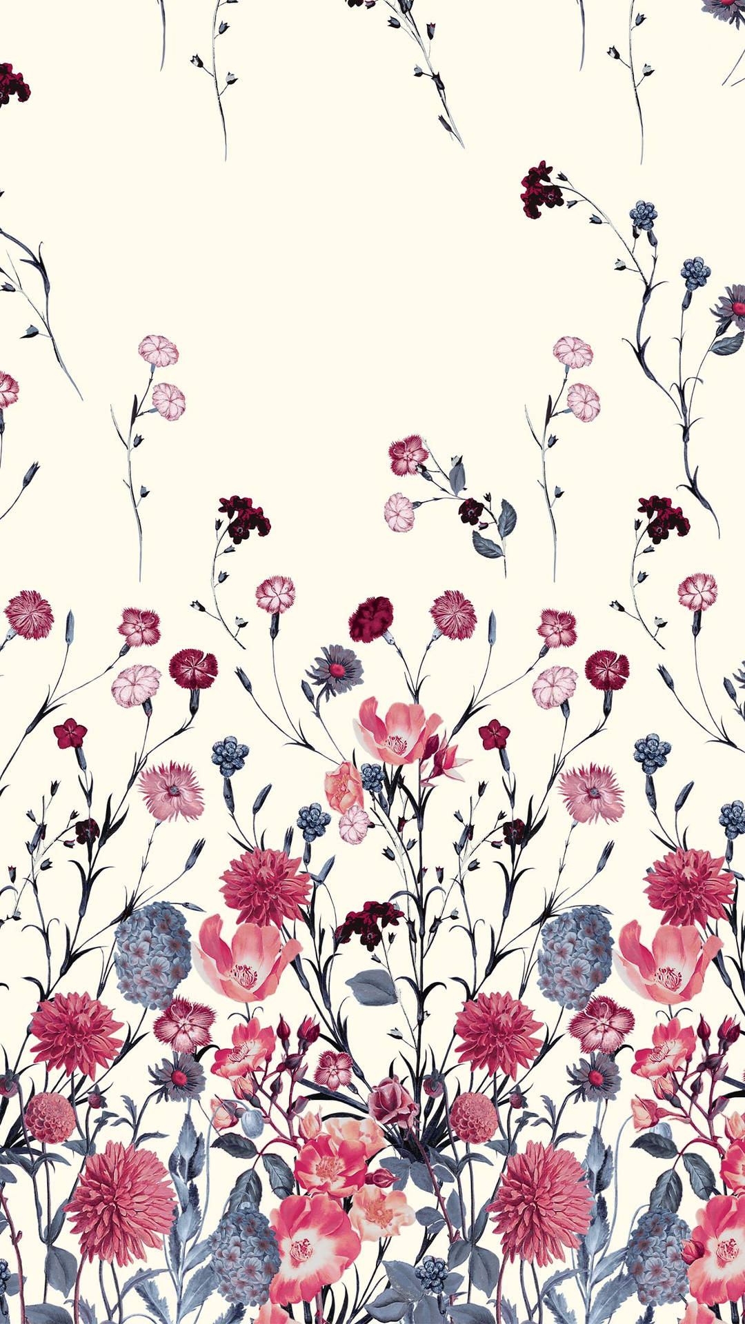 Red And Blue Floral Iphone Wallpaper