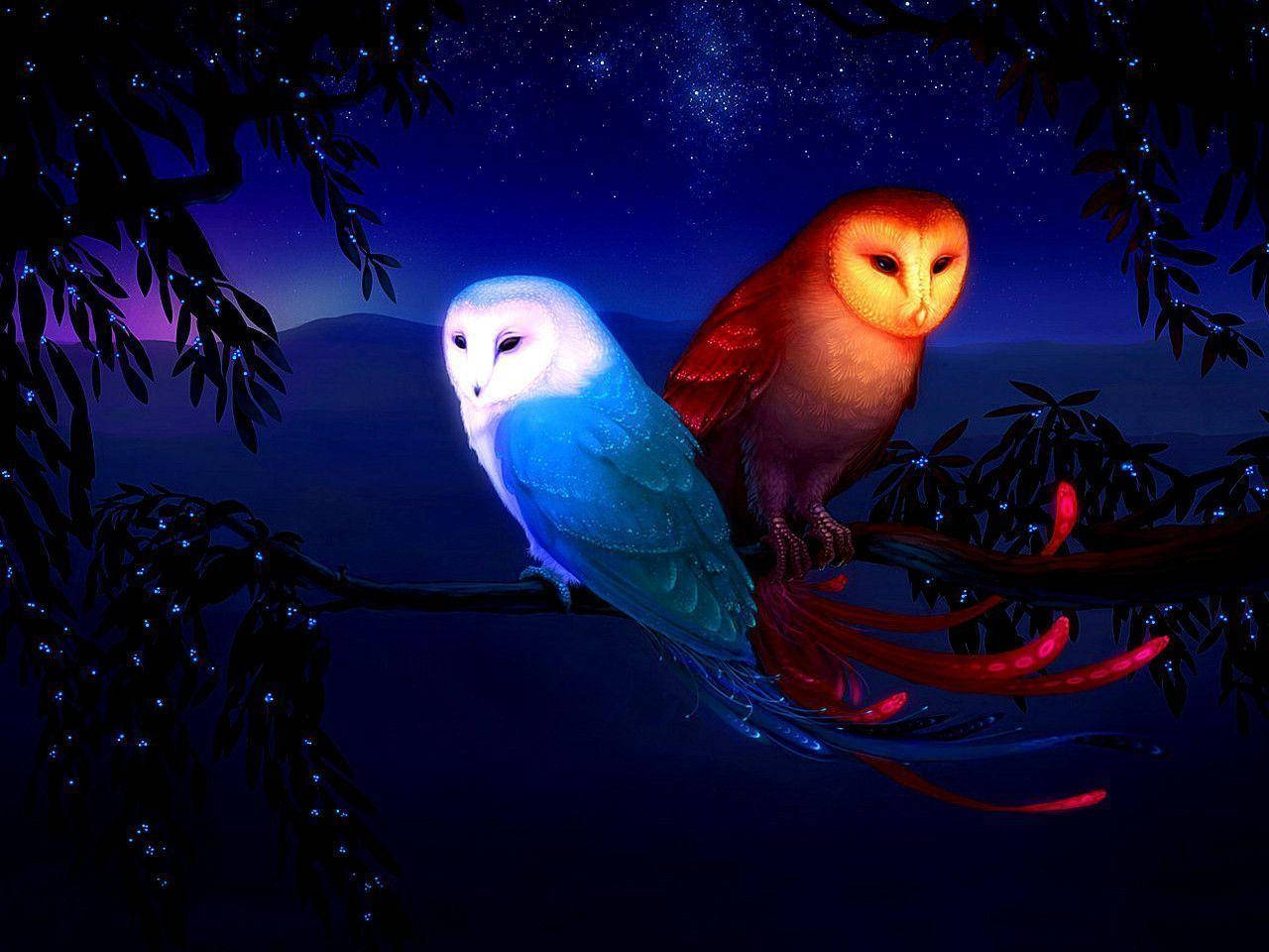 Red And Blue Owl Wallpaper
