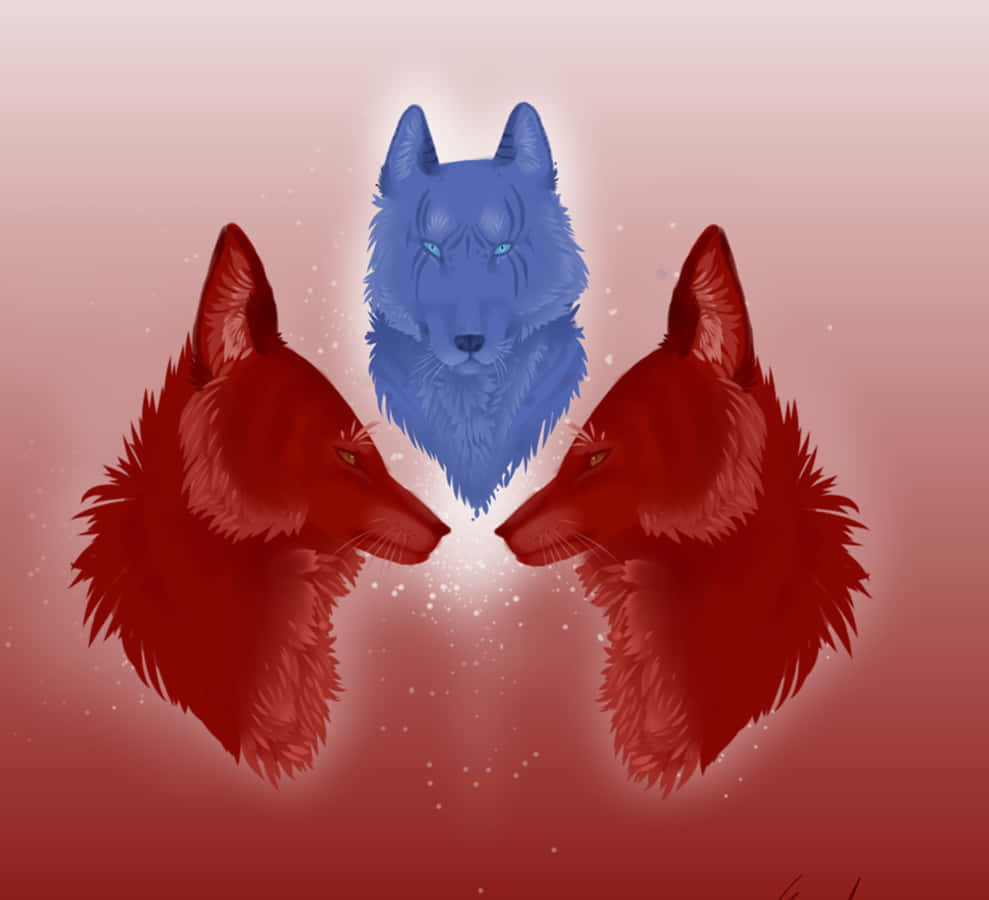 Wolf Wolf By Sassy Wallpaper