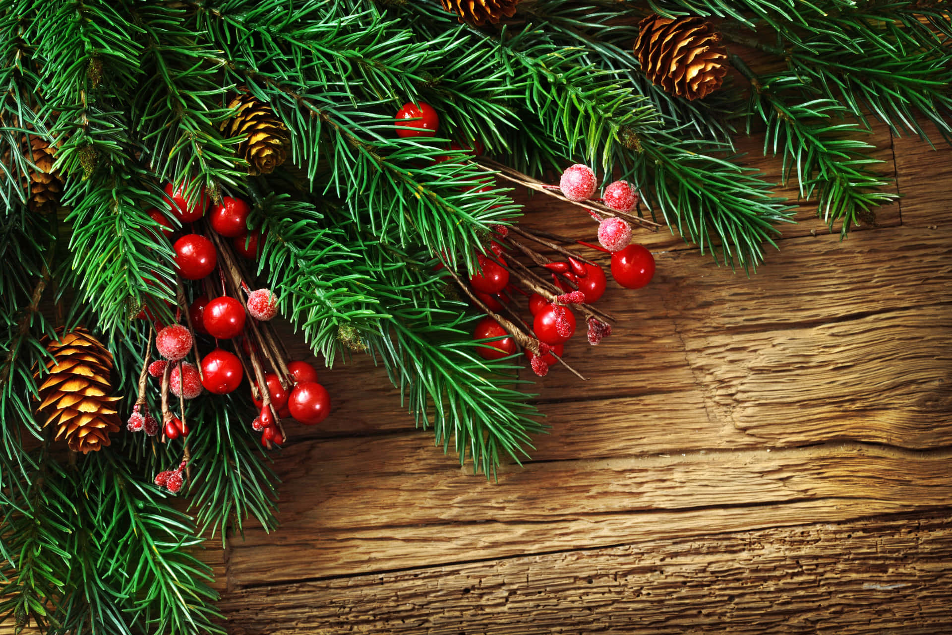 "A holiday scene of bright red and green Christmas decorations" Wallpaper