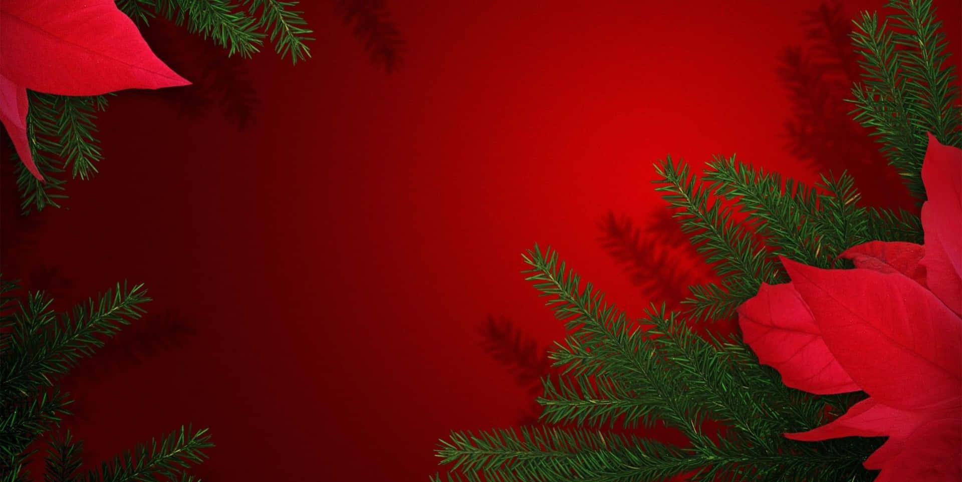 En festlig juletræ med levende rød og grøn dekorationer. Wallpaper