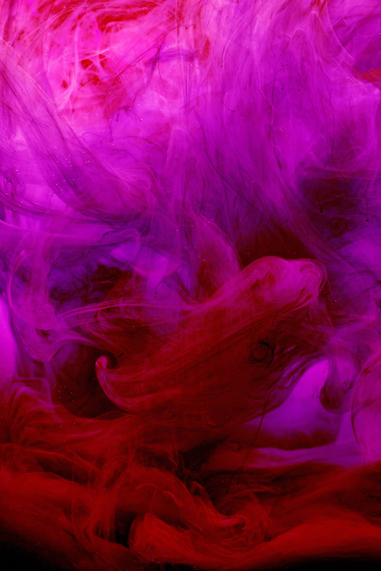 Colorful Fume In Red And Purple Background
