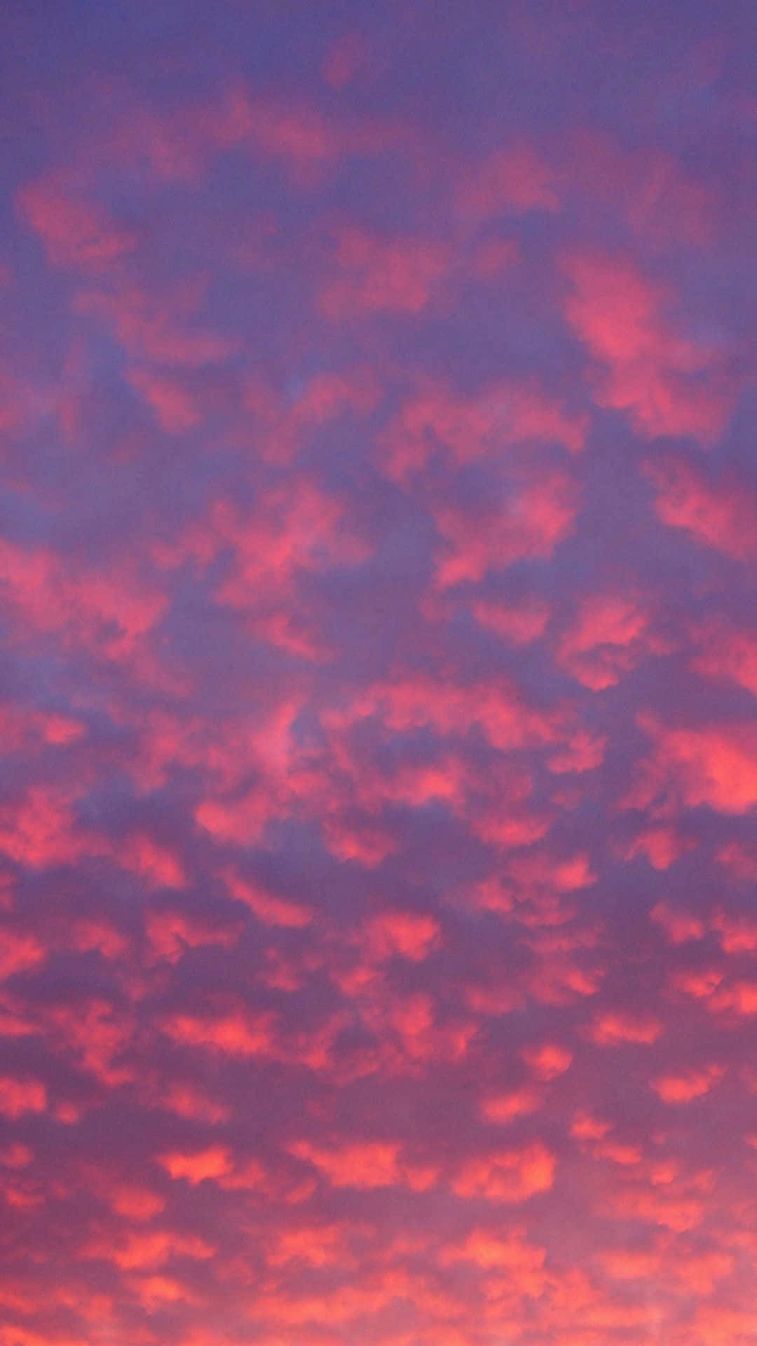 Sunset Sky In Red And Purple Background