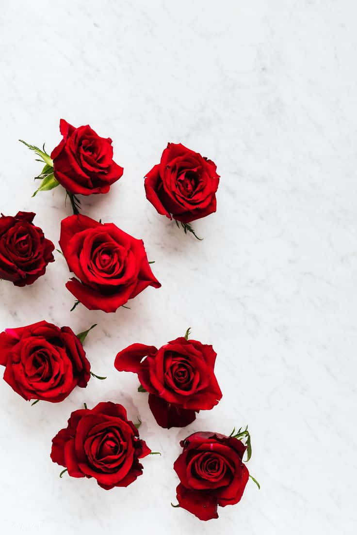 Red Roses On A Marble Surface
