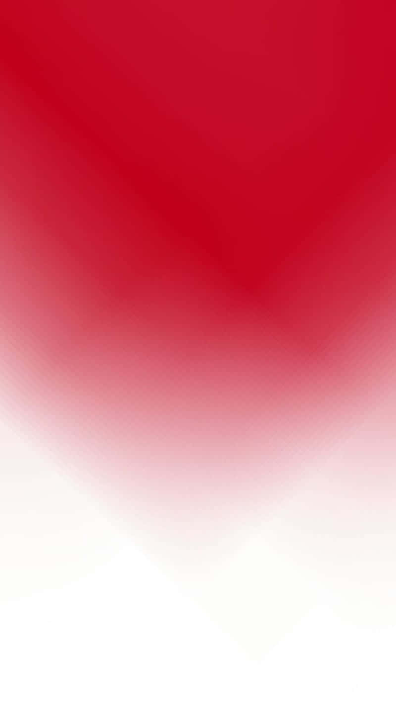 A vivid contrast – a stark red and white background.