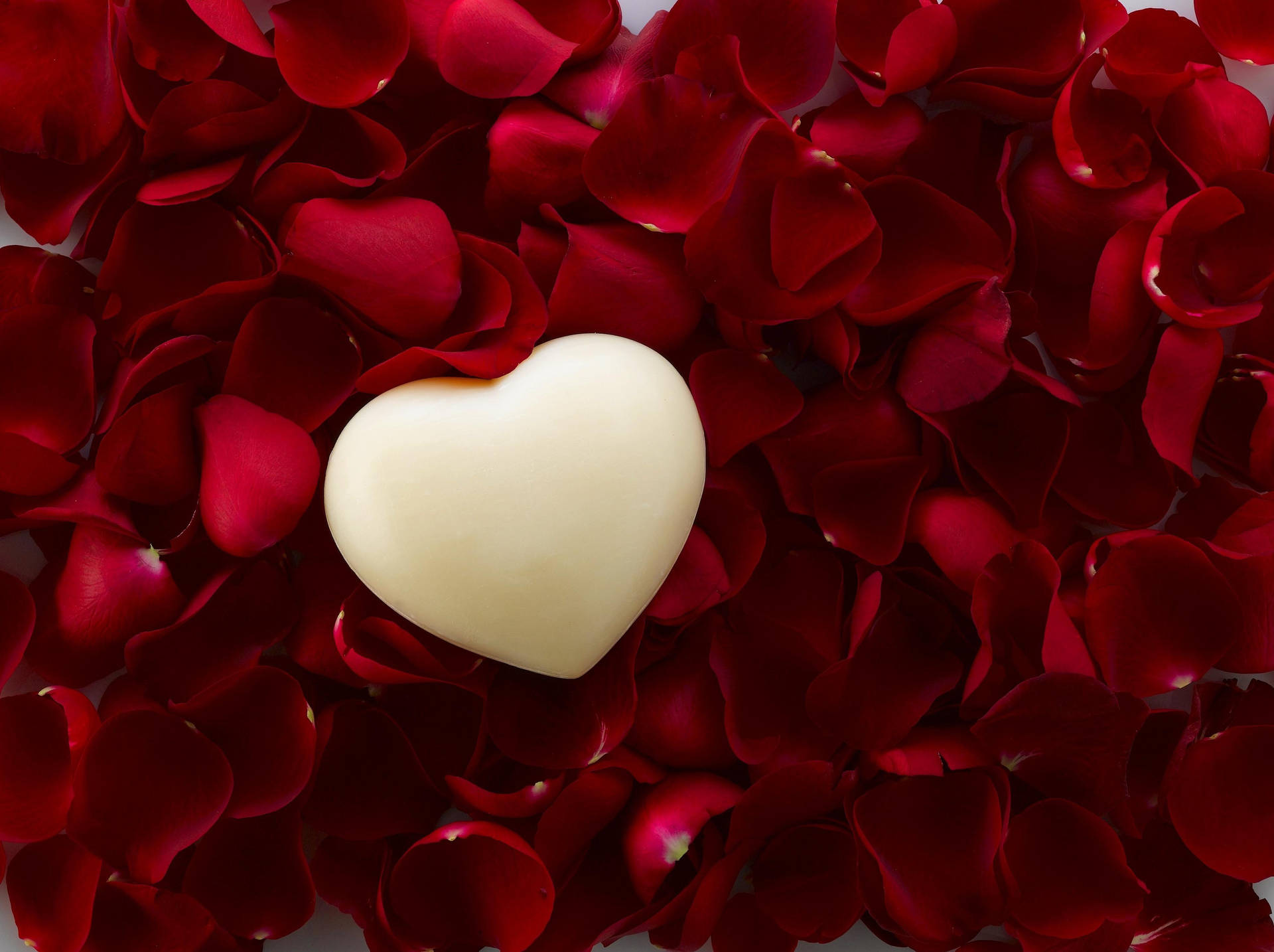 Red And White Heart In Rose Petals Wallpaper