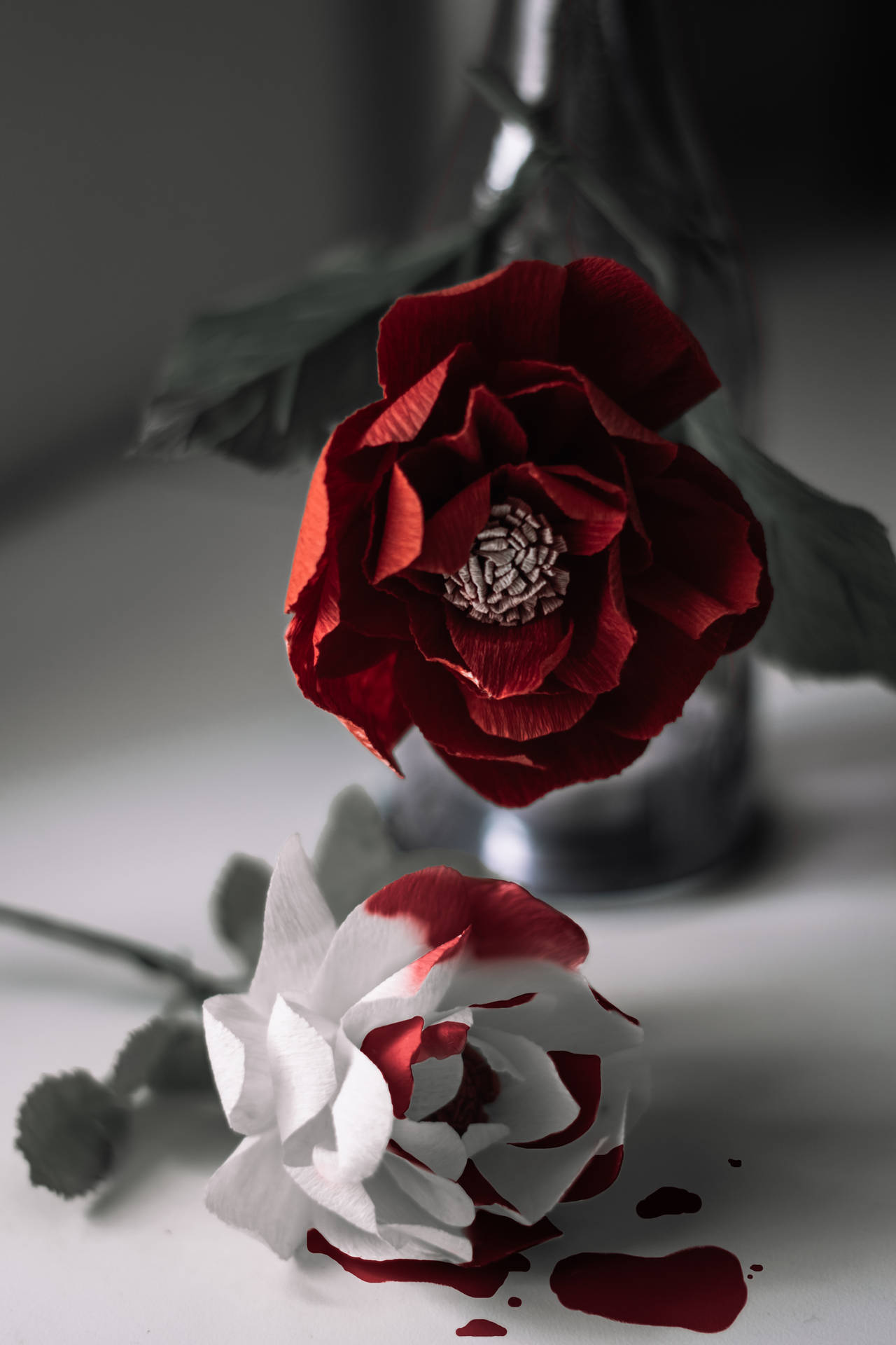 Red And White Roses With Blood Wallpaper